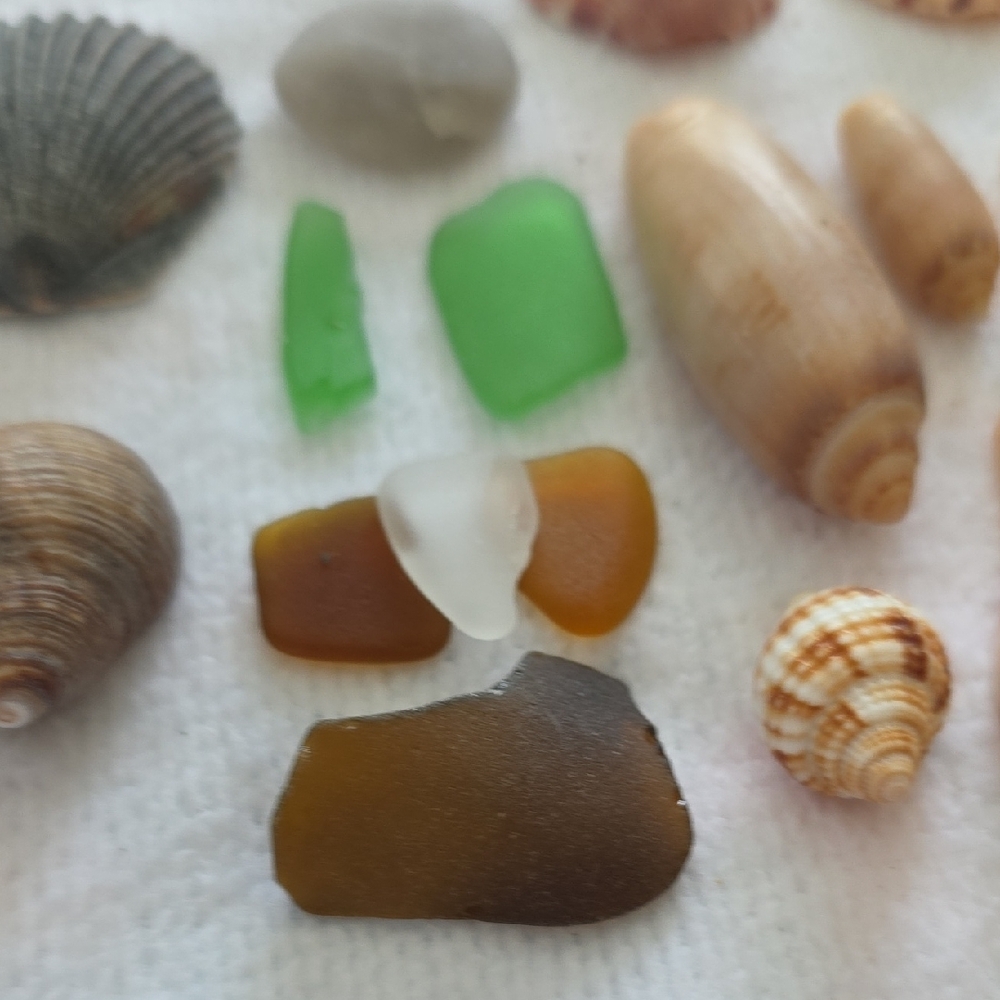 Coastal Small Seashells and Sea Glass Collection All Natural With Nutural Hues